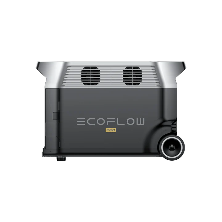 Eco Flow Delta Pro